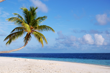 A beach in Maldives