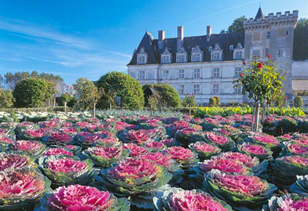 chateau jardins villandry potager2 jbleroux hdv