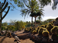 Giardino botanico Oasis Park Fuerteventura low